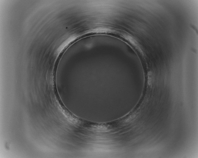 X0000102801229200808181153