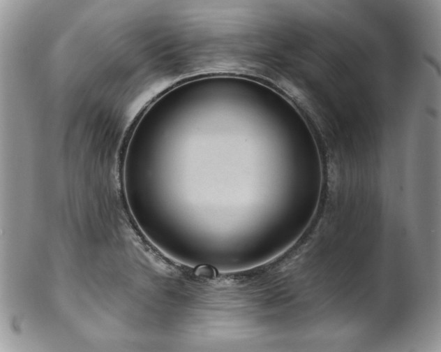 X0000102801230200808181153
