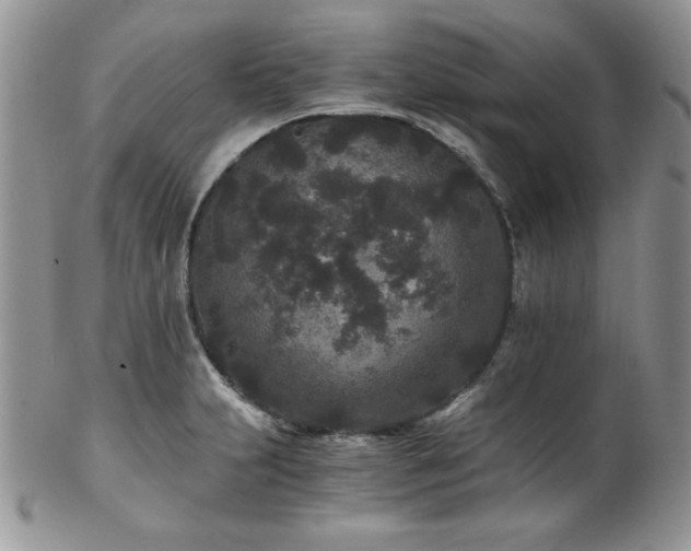 X0000102801231200808181153