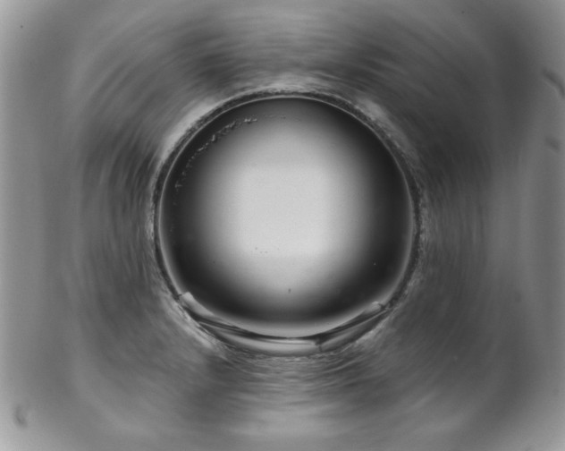 X0000102801232200808181153