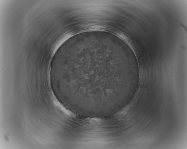 X0000102801235200808181153