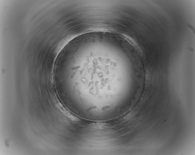 X0000102801236200808181154