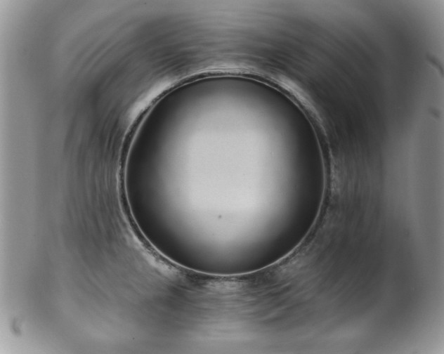 X0000102801237200808181154