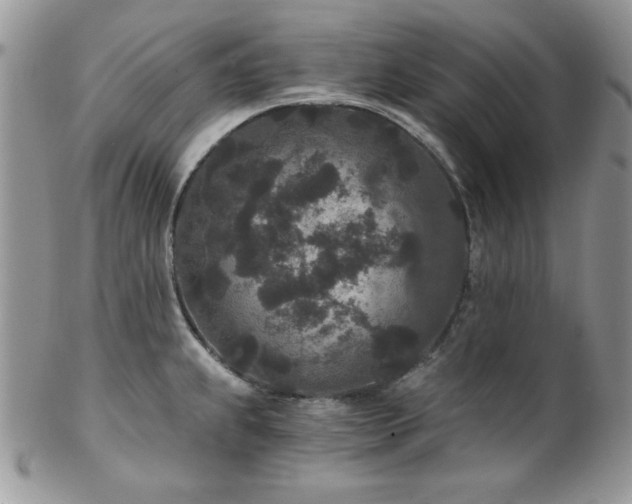 X0000102801239200808181154