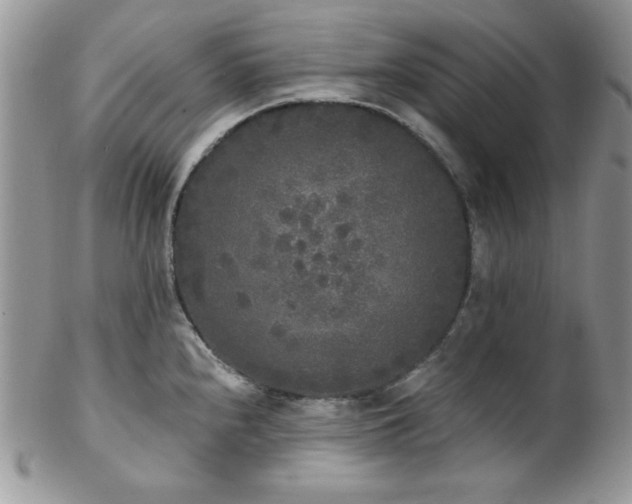 X0000102801240200808181154