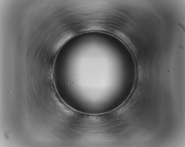 X0000102801241200808181154