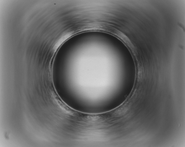 X0000102801242200808181154