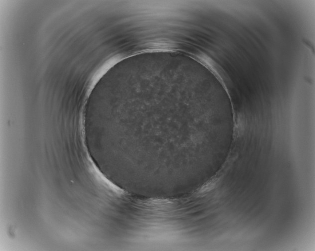 X0000102801243200808181154