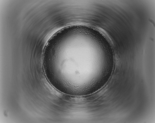 X0000102801244200808181154