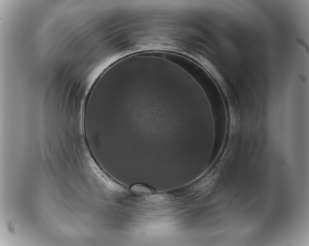 X0000102801246200808181154