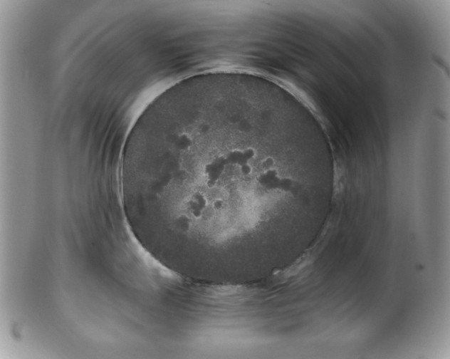 X0000102801247200808181154