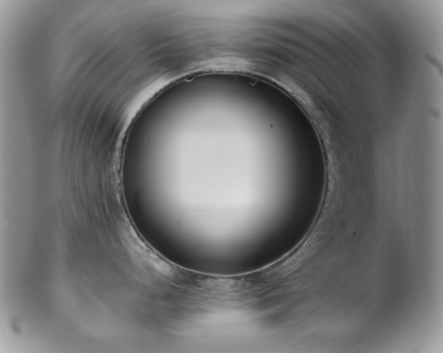 X0000102801248200808181154