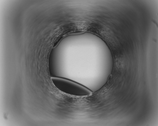 X0000102801249200808181153