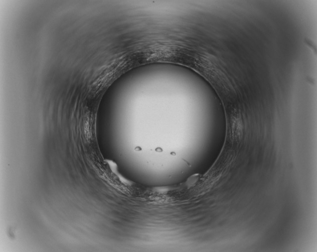 X0000102801250200808181153