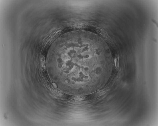 X0000102801251200808181153