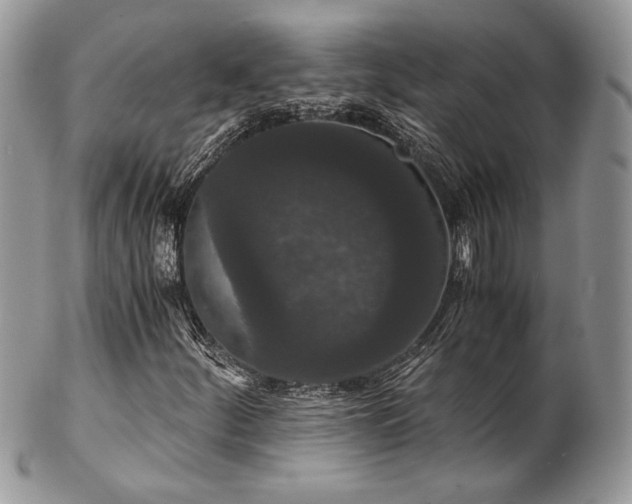 X0000102801252200808181153