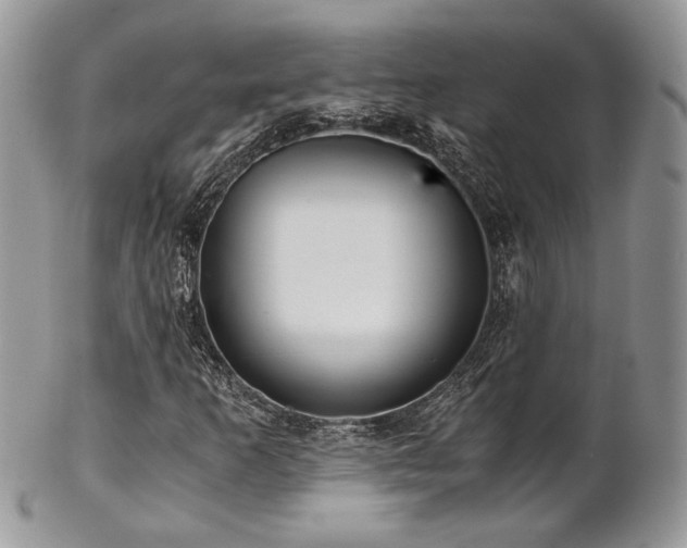 X0000102801253200808181153