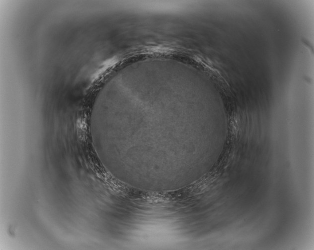 X0000102801254200808181153