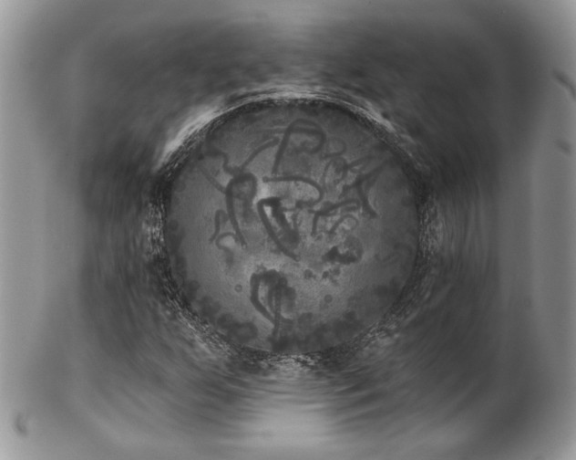 X0000102801255200808181153