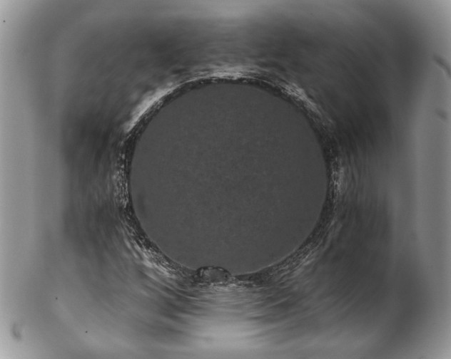 X0000102801256200808181153