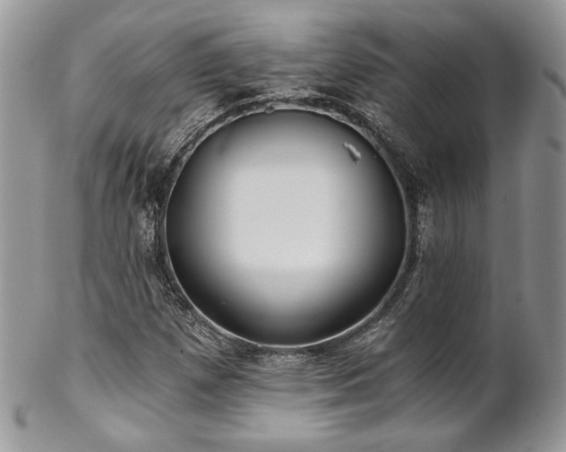 X0000102801257200808181153