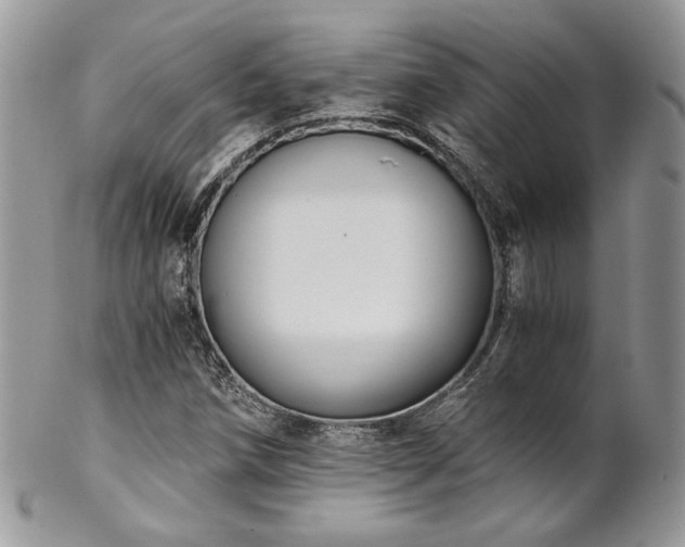 X0000102801258200808181153