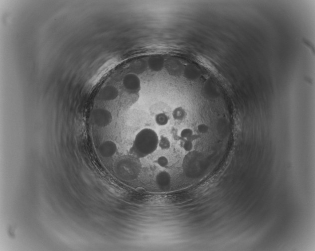 X0000102801259200808181153