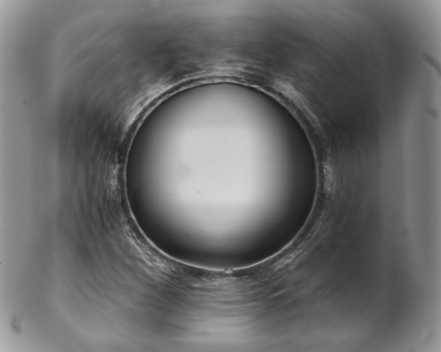X0000102801260200808181153