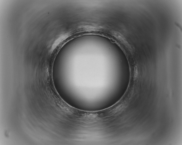 X0000102801261200808181153