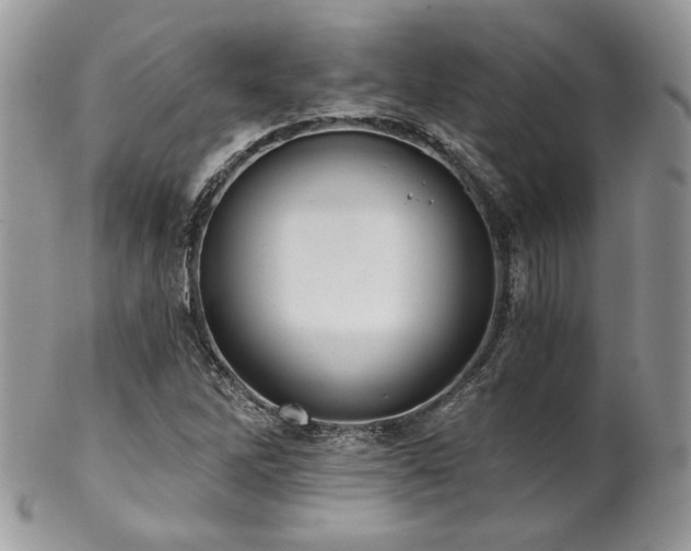 X0000102801262200808181153