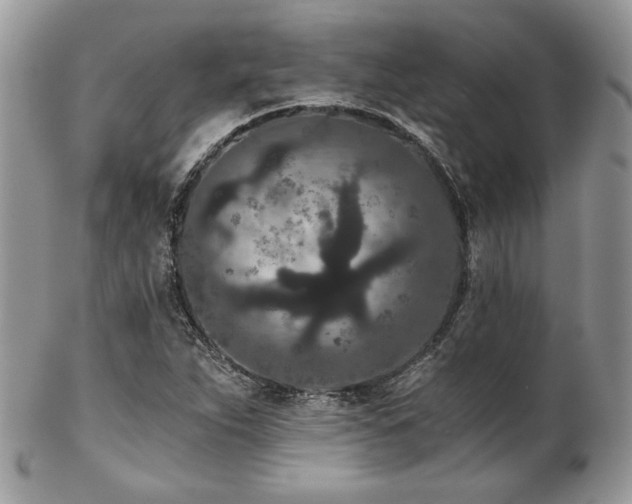 X0000102801263200808181153