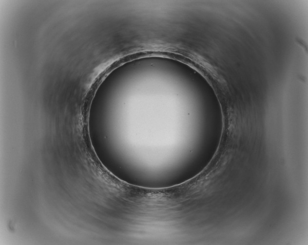 X0000102801264200808181153