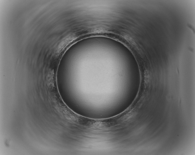 X0000102801265200808181153