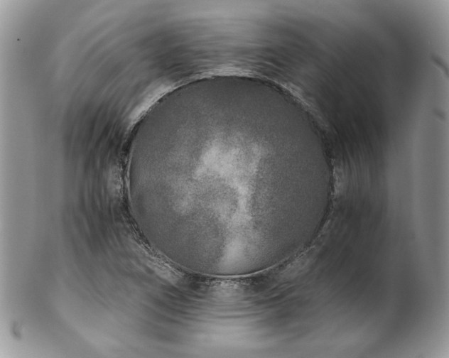 X0000102801266200808181153