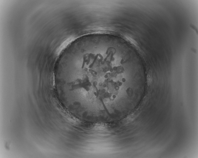 X0000102801267200808181153