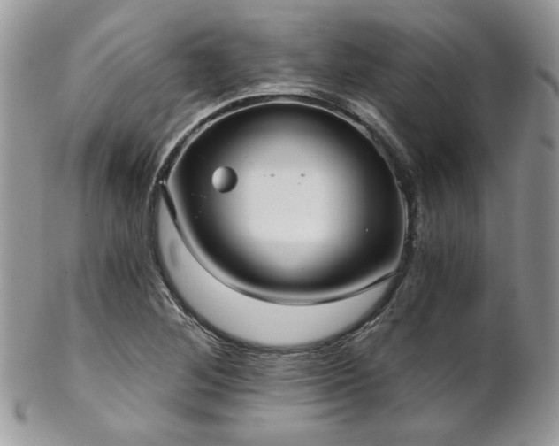 X0000102801268200808181153
