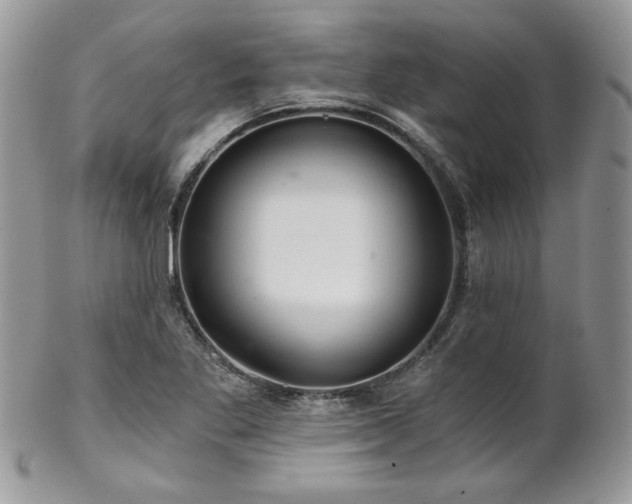 X0000102801269200808181153