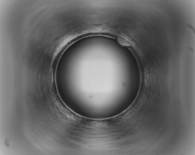 X0000102801270200808181153