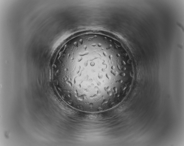 X0000102801271200808181153