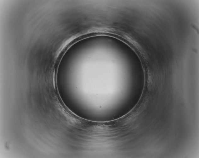 X0000102801272200808181153