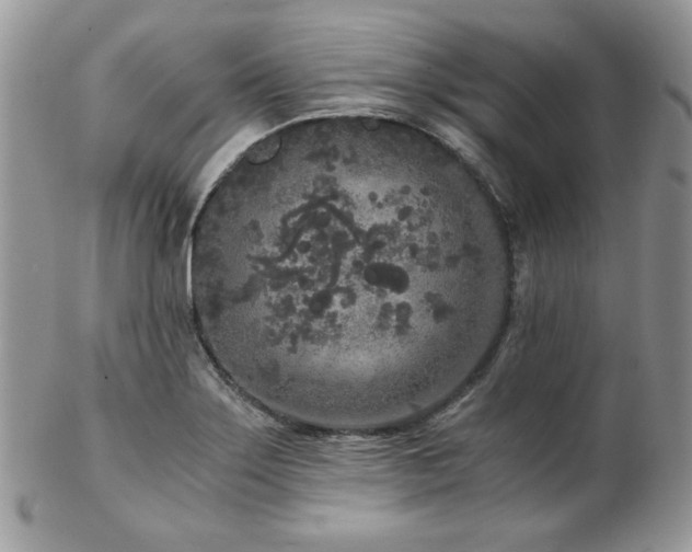 X0000102801275200808181153