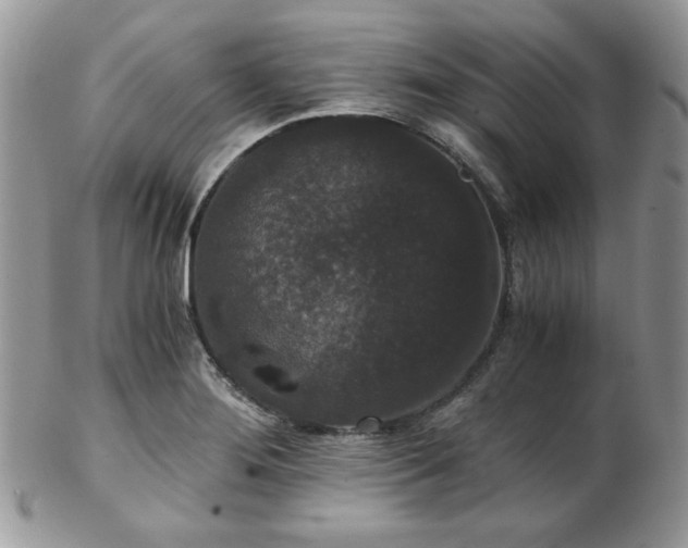 X0000102801276200808181153