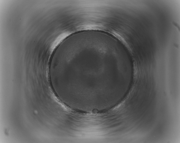 X0000102801277200808181153