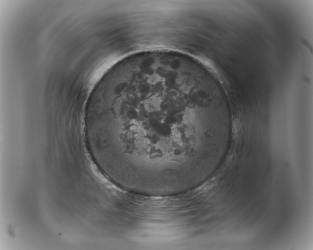 X0000102801279200808181153