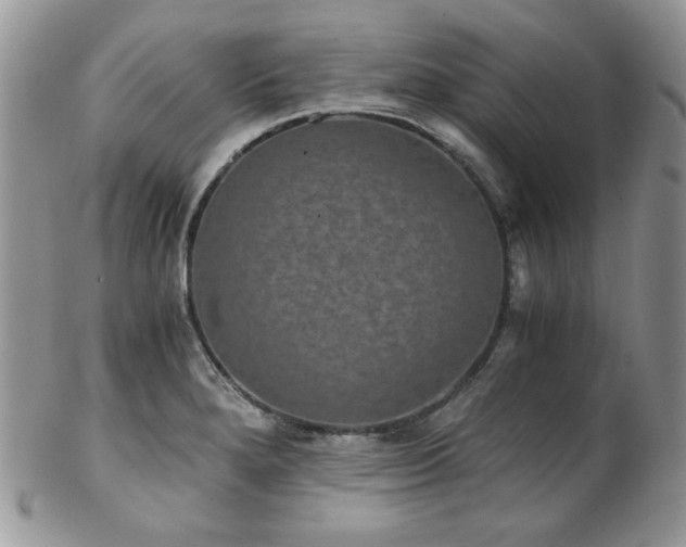 X0000102801280200808181153