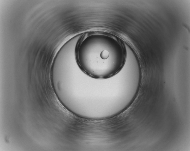 X0000102801284200808181152