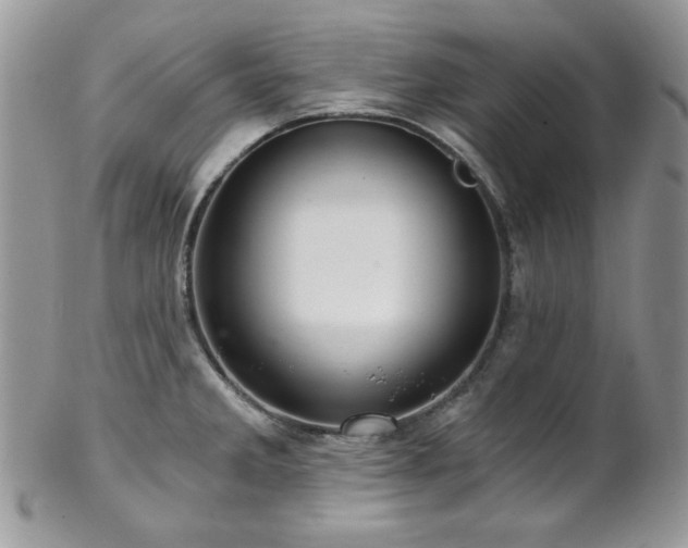 X0000102801285200808181152