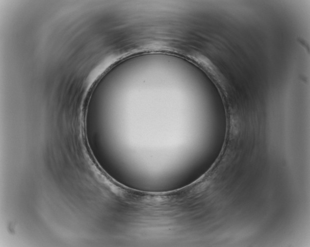 X0000102801286200808181152