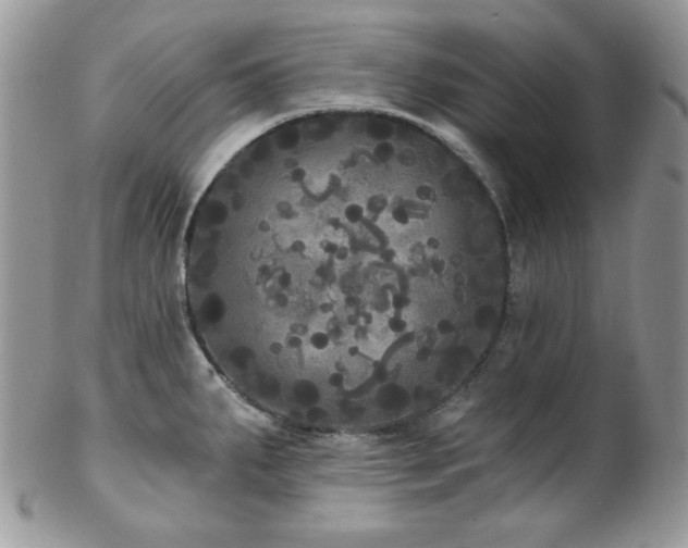 X0000102801287200808181152