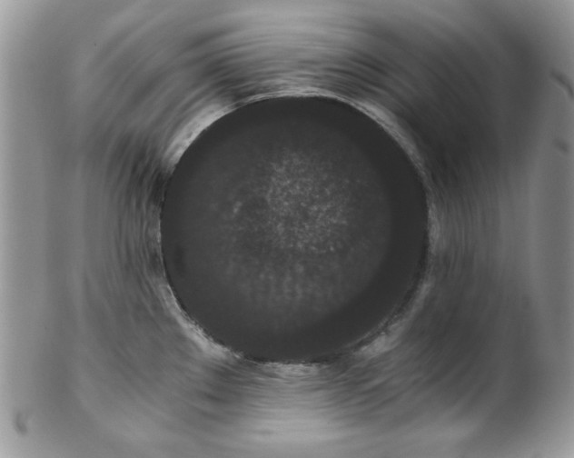 X0000102801289200808181152